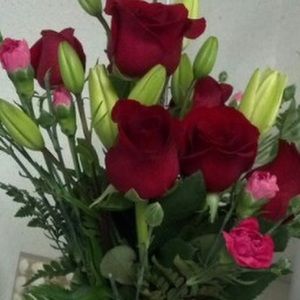 Meet your Posher, Kanika